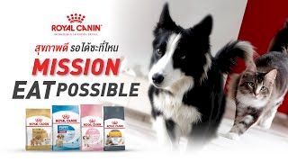 Royal Canin : MISSION EATPOSSIBLE สุขภาพดี รอได้ซะที่ไหน